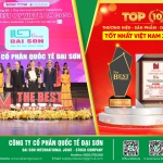 GIẢI THƯỞNG THE BEST OF VIETNAM 2024 (THƯƠNG HIỆU – SẢN PHẨM – DỊCH VỤ TỐT NHẤT VIỆT NAM 2024) GỌI TÊN ĐẠI SƠN GROUP